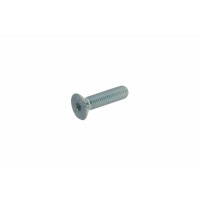 TPSCEI screw 8 x ---